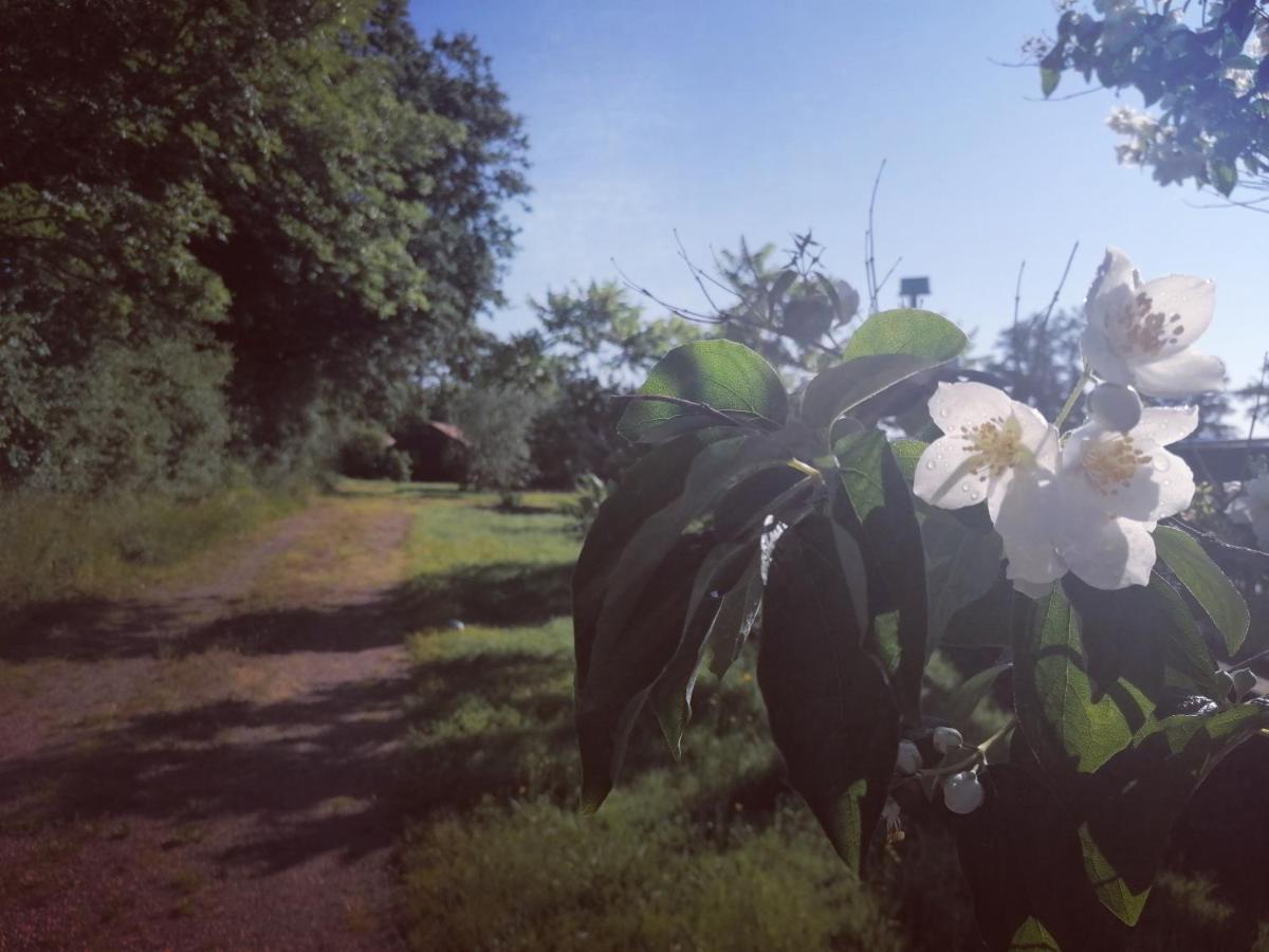 Canal Du Nivernais Gites Le Champ Radis Marigny-sur-Yonne Kültér fotó